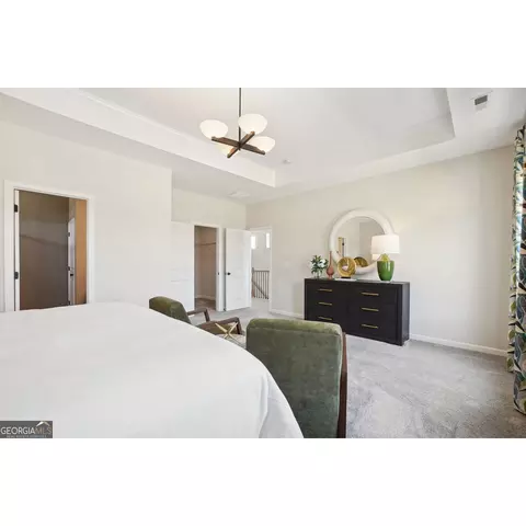 10465 Trellis Ln, Hampton, GA 30228 photo 16