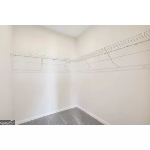 10465 Trellis Ln, Hampton, GA 30228 photo 19