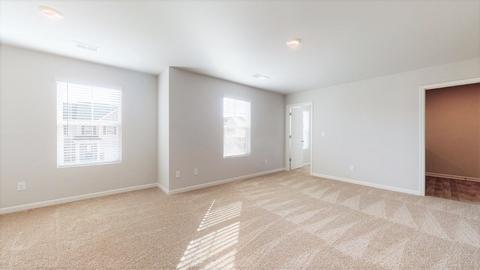 465 Caledon Way, Hampton, GA 30228 photo 33
