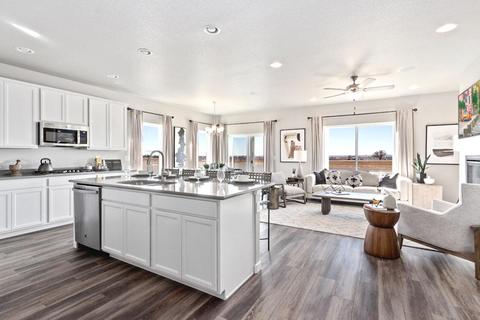 953 Barasingha St, Severance, CO 80550 photo 5