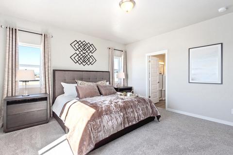 953 Barasingha St, Severance, CO 80550 photo 8