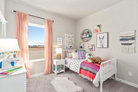 953 Barasingha St, Severance, CO 80550 photo 13