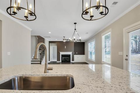 209 Sapphire Gem Ln, Elgin, SC 29045 photo 16