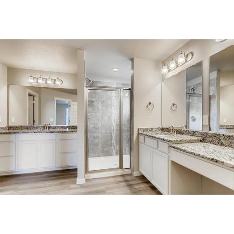 1204 Argali Dr, Severance, CO 80550 photo 10