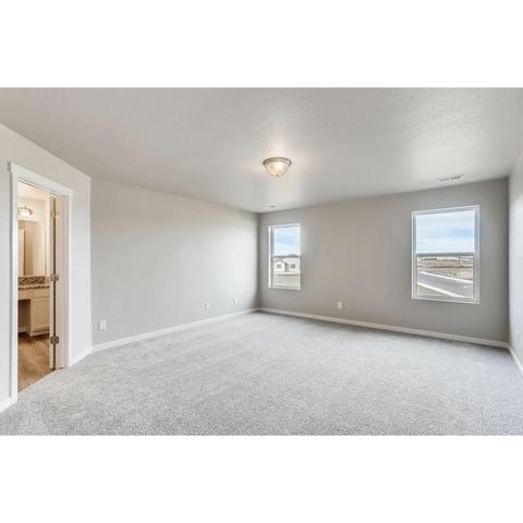 1204 Argali Dr, Severance, CO 80550 photo 9