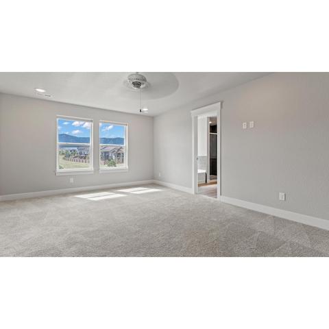 15608 Native Willow Dr, Monument, CO 80132 photo 22