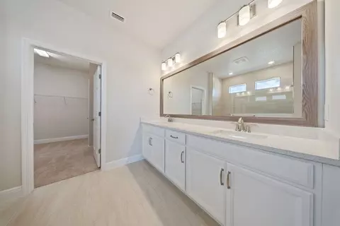 11812 Catawba Cv, Parrish, FL 34219 photo 19