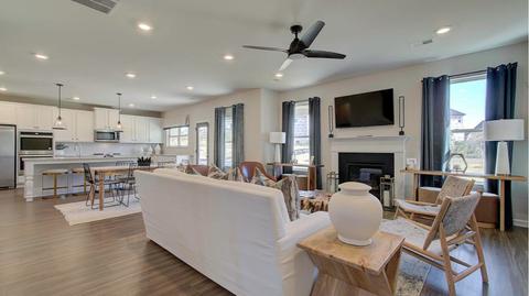 419 Traditions Ln, Hampton, GA 30228 photo 9