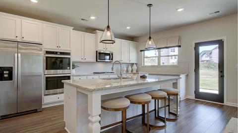 419 Traditions Ln, Hampton, GA 30228 photo 13