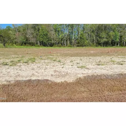 112 Oriental St, Angier, NC 27501 photo 16