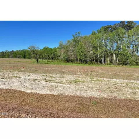 112 Oriental St, Angier, NC 27501 photo 17