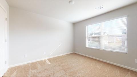 457 Caledon Way, Hampton, GA 30228 photo 32