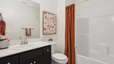 Bath - 1076 Dapple Dr, Minden, NV 89423 photo 3 of 3
