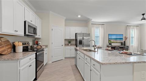20421 Napa Loop, Estero, FL 33928 photo 23