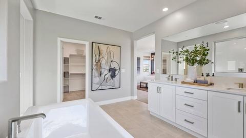 210 Zawn, Irvine, CA 92618 photo 24