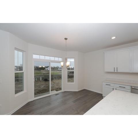 15207 S Sawgrass Cir, Plainfield, IL 60544 photo 15