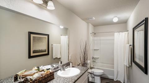 10846 Margarita Loop, Converse, TX 78109 photo 7