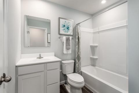 118 Queens Mill Ct, Pendleton, SC 29670 photo 12