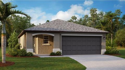 16748 Delia St, Wimauma, FL 33598 photo 4