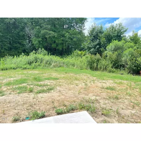 46 Oriental St, Angier, NC 27501 photo 31