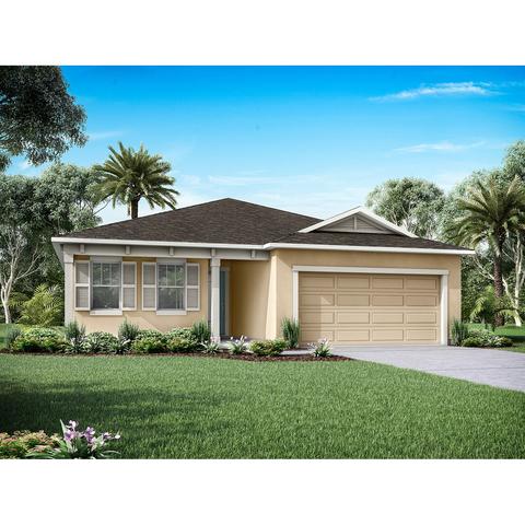 2230 Satin Leaf St, Clermont, FL 34711 photo 1