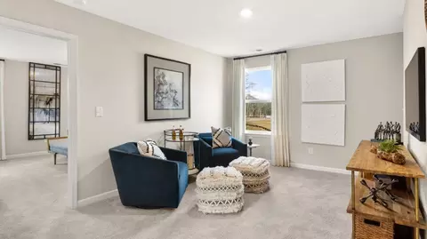 844 Gelderland Dr, Hampton, GA 30228 photo 15