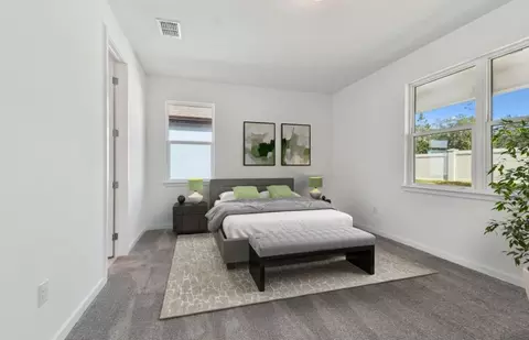 13808 Sunlight Meadow Dr, Riverview, FL 33578 photo 9