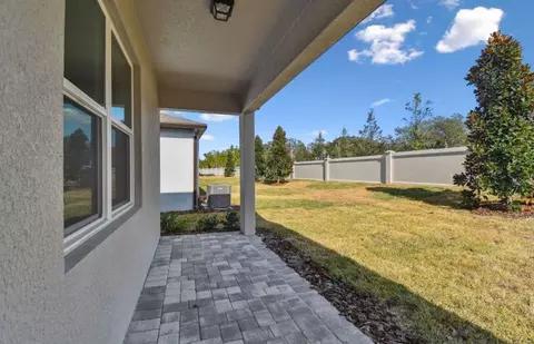 13808 Sunlight Meadow Dr, Riverview, FL 33578 photo 4