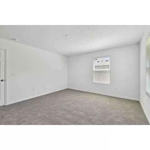 5050 Bromeliad Ave, Wimauma, FL 33598 photo 60