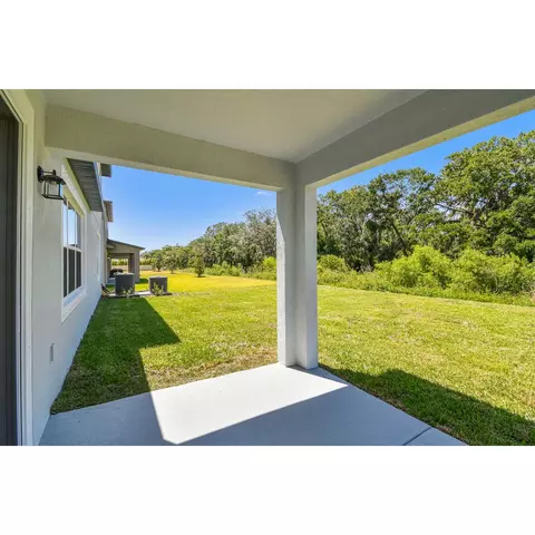 5050 Bromeliad Ave, Wimauma, FL 33598 photo 27