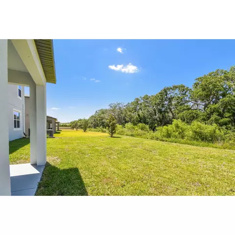 5050 Bromeliad Ave, Wimauma, FL 33598 photo 31
