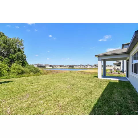5050 Bromeliad Ave, Wimauma, FL 33598 photo 17