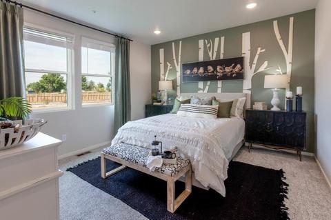 2290 Setting Sun Dr #4, Windsor, CO 80550 photo 19