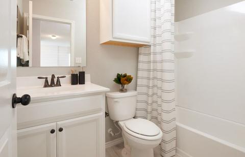 5530 Broad Spruce St, Spring, TX 77373 photo 17