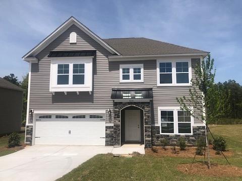 259 Doolittle Dr, Chapin, SC 29036 photo 1