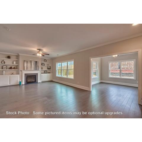 259 Doolittle Dr, Chapin, SC 29036 photo 14