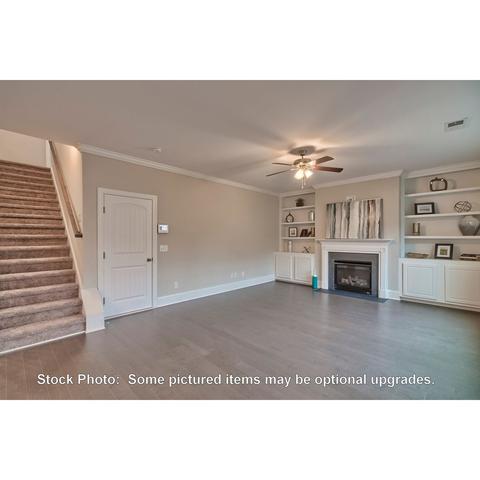 259 Doolittle Dr, Chapin, SC 29036 photo 13
