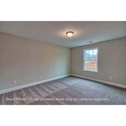 259 Doolittle Dr, Chapin, SC 29036 photo 30