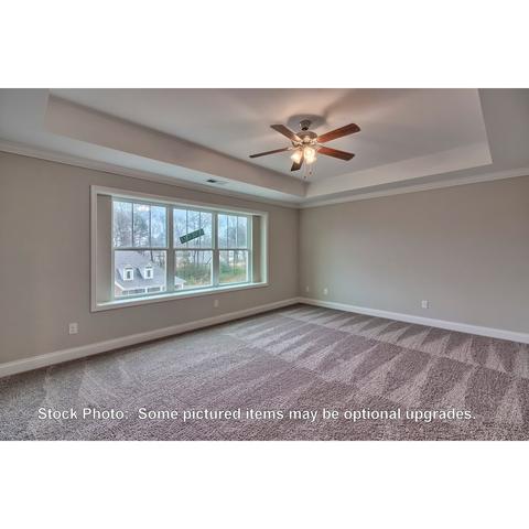 259 Doolittle Dr, Chapin, SC 29036 photo 19