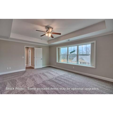 259 Doolittle Dr, Chapin, SC 29036 photo 20