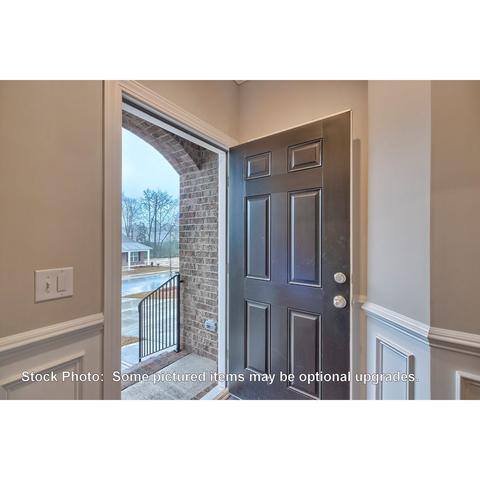 259 Doolittle Dr, Chapin, SC 29036 photo 2