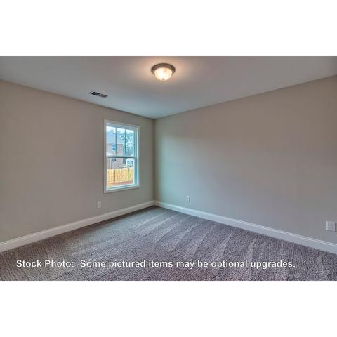 259 Doolittle Dr, Chapin, SC 29036 photo 28