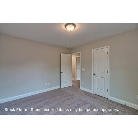 259 Doolittle Dr, Chapin, SC 29036 photo 29