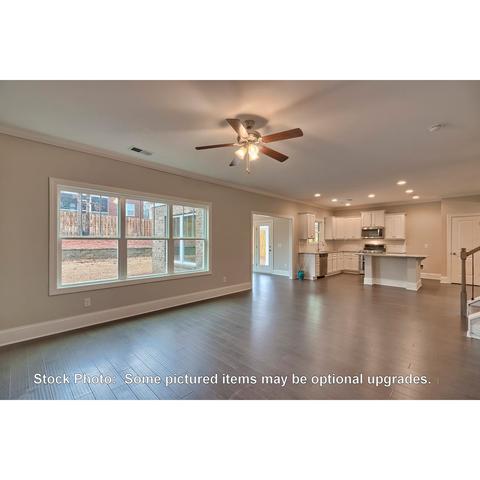 259 Doolittle Dr, Chapin, SC 29036 photo 15