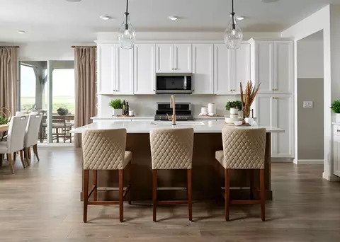 24841 E 33rd Dr, Aurora, CO 80019 photo 3