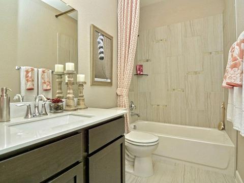 342 Moonlit Stream Pass, Dripping Springs, TX 78620 photo 21