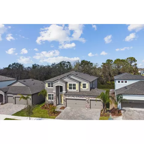 View/Area - 5046 Bromeliad Ave, Wimauma, FL 33598 photo 4 of 4