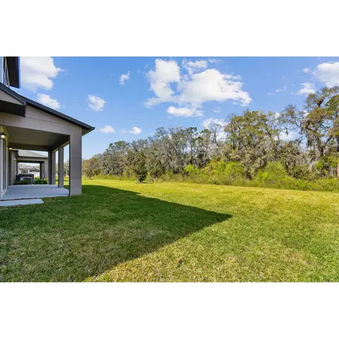 Exterior - 5046 Bromeliad Ave, Wimauma, FL 33598 photo 11 of 13