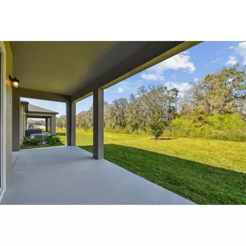 Exterior - 5046 Bromeliad Ave, Wimauma, FL 33598 photo 5 of 13
