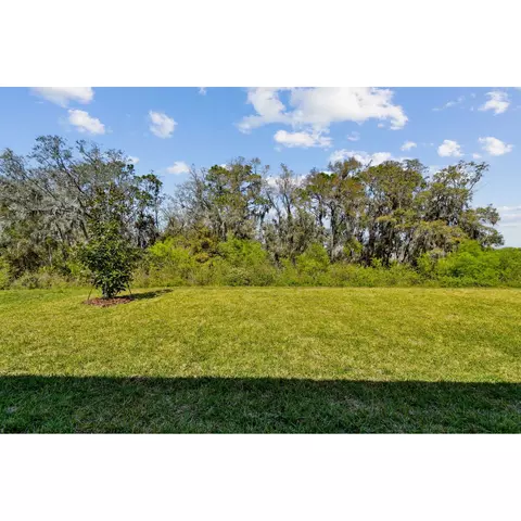 Exterior - 5046 Bromeliad Ave, Wimauma, FL 33598 photo 12 of 13